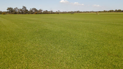 Roll On Turf
